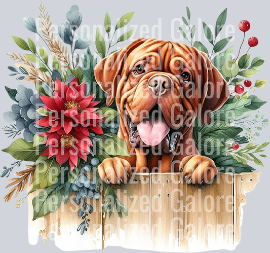 dog_375