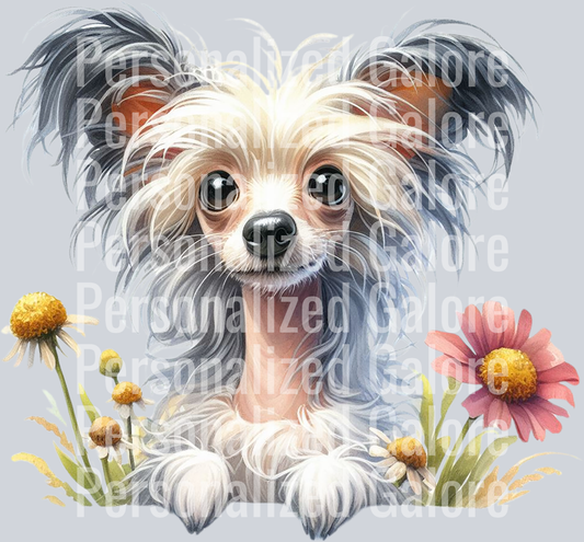 dog_410
