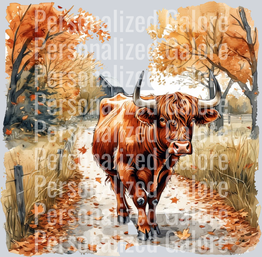 Cow_427