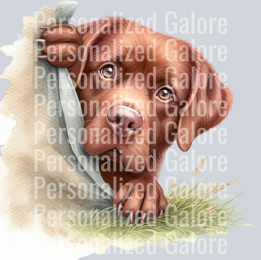 dog_416