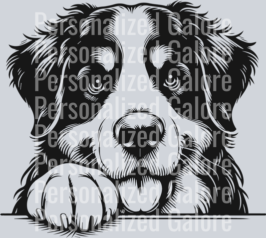 dog_210