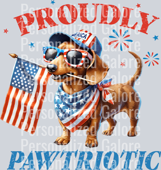 Patriotic_293