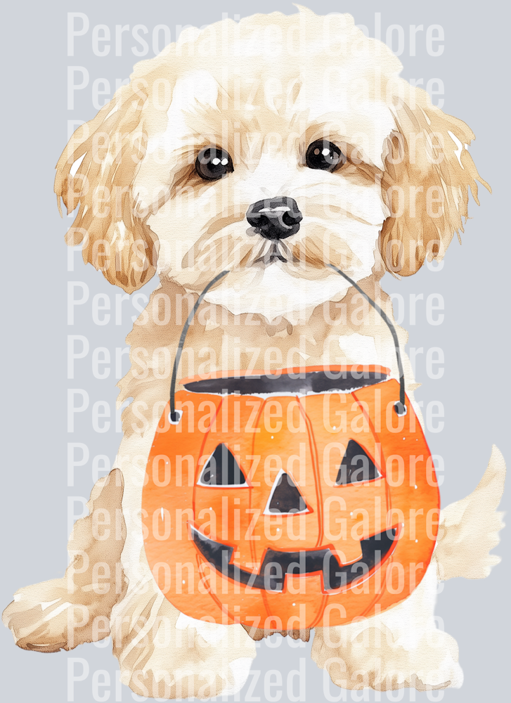 dog_598