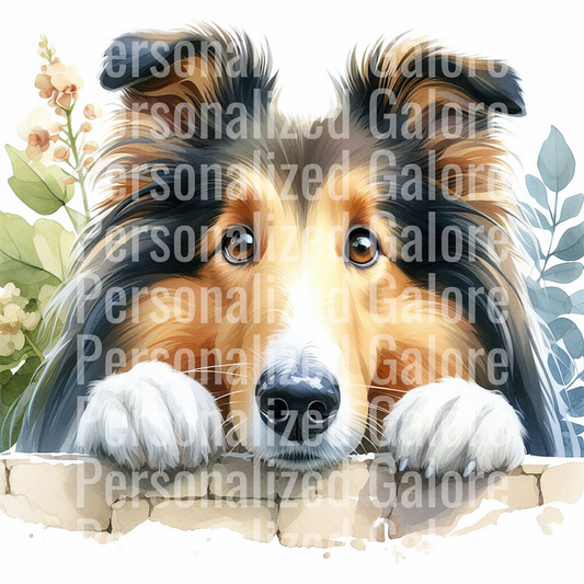 dog_398