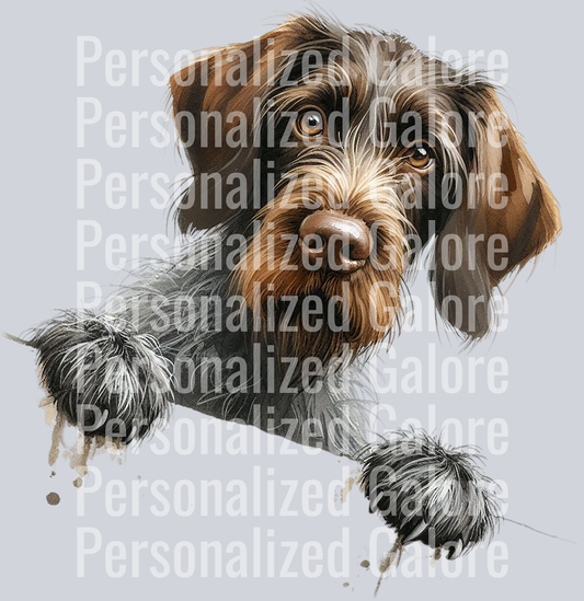 dog_334