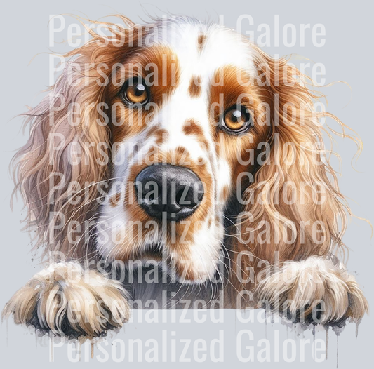 dog_363