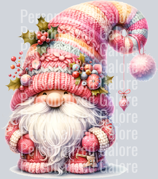 Gnome_025