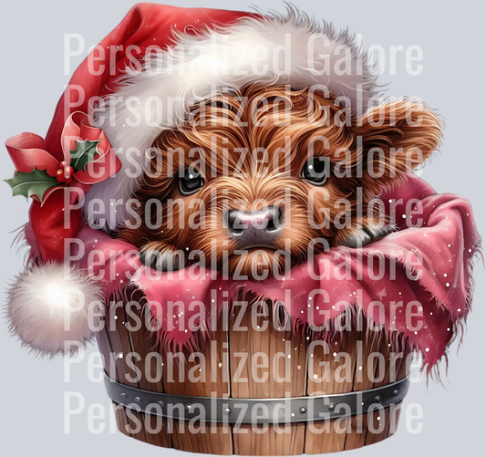 cow_239
