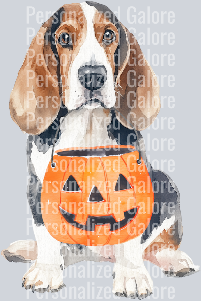 dog_601