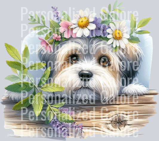 dog_558