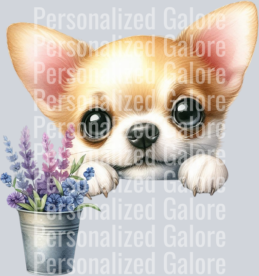 dog_409