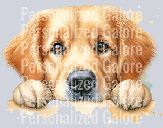 dog_328