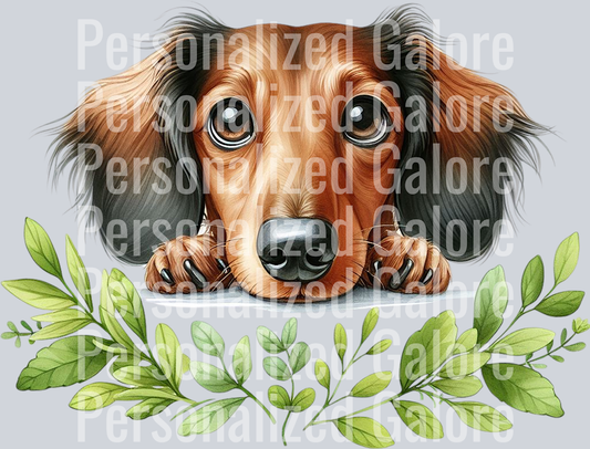 dog_391