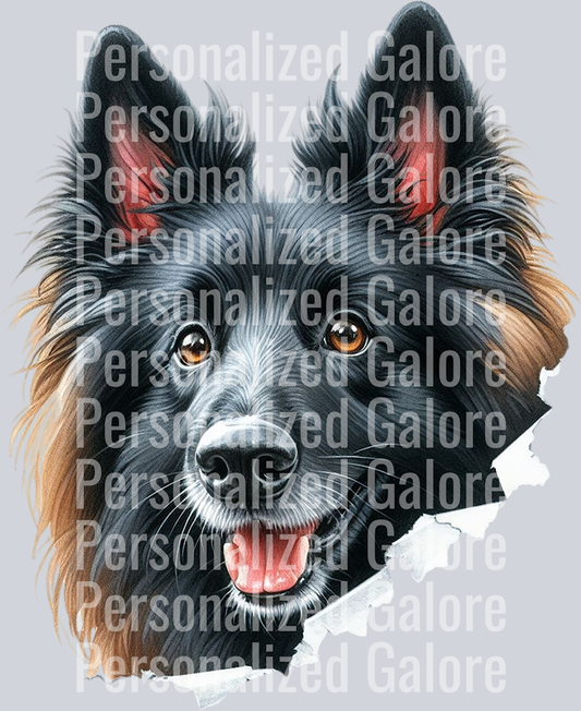 dog_464