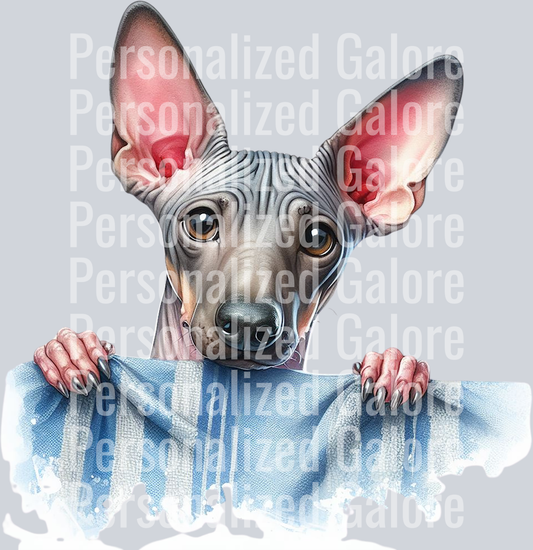 dog_493