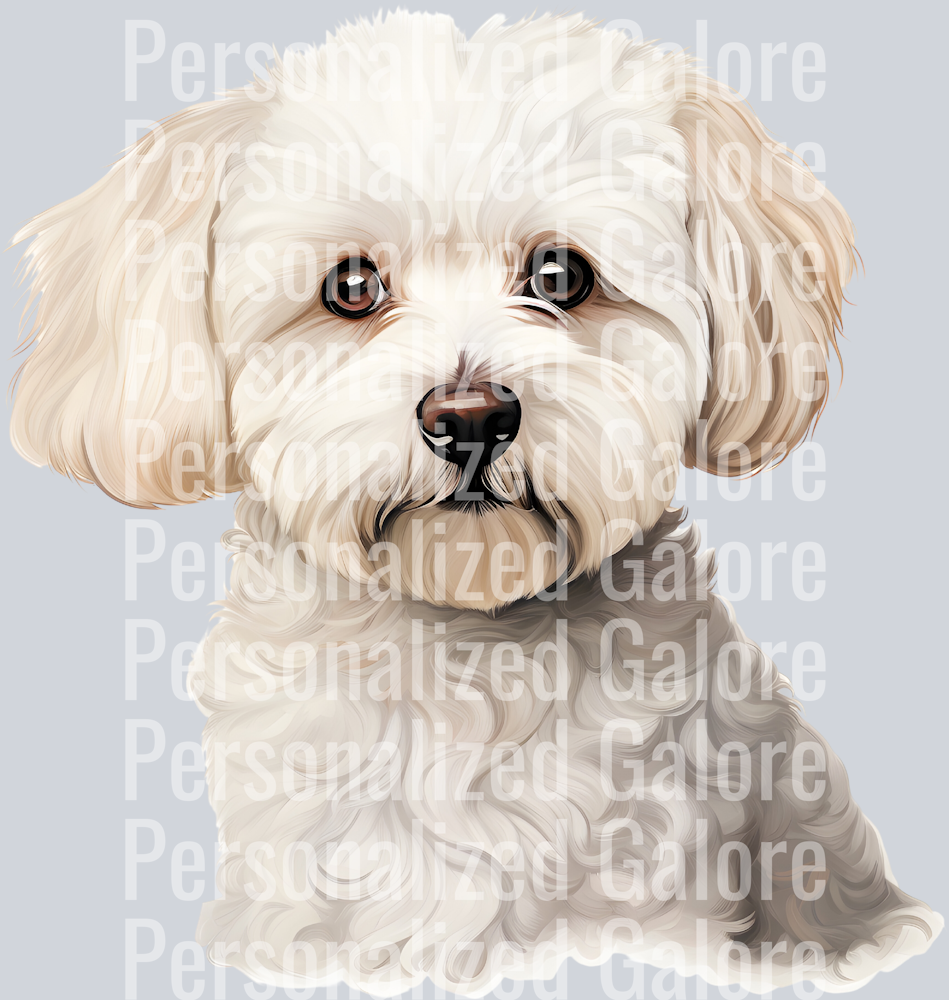 dog_593