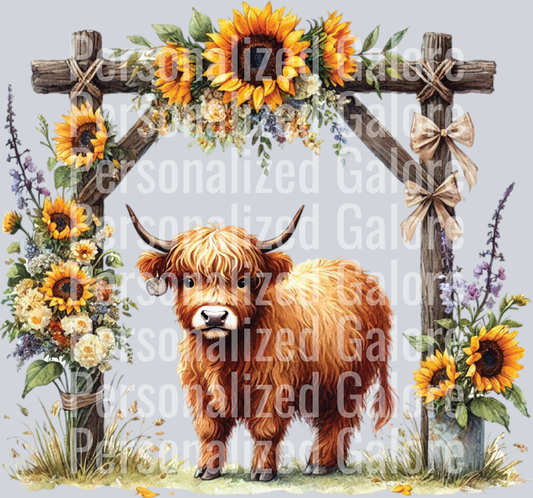 cow_348