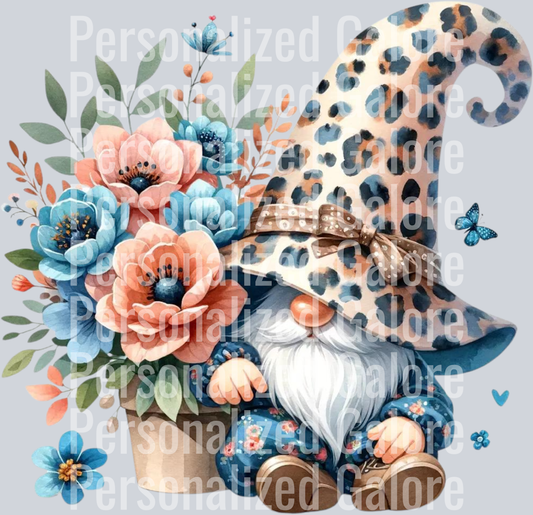 gnome_001