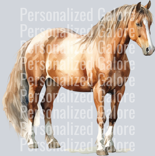 horse_009