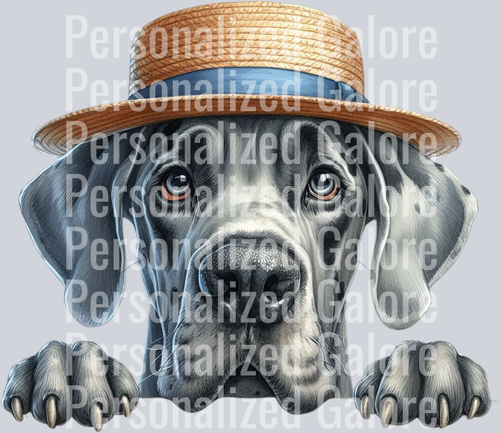 dog_322