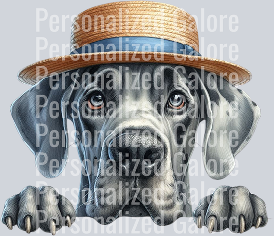 dog_322