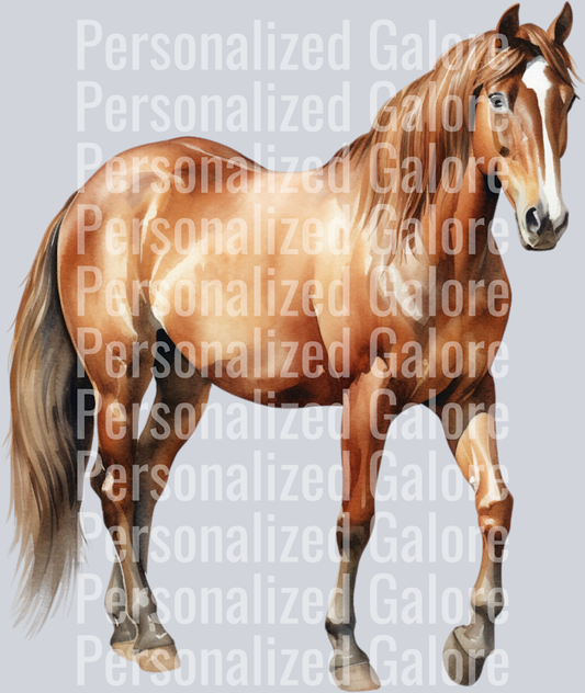 horse_008