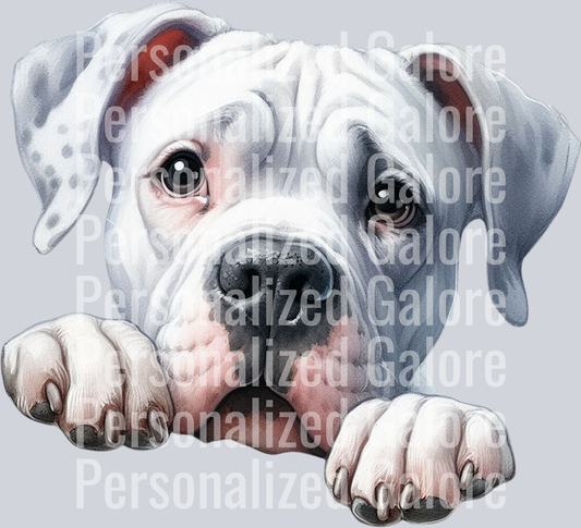 dog_377
