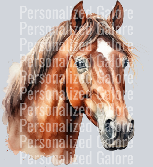 horse_004