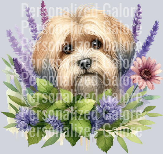 dog_565