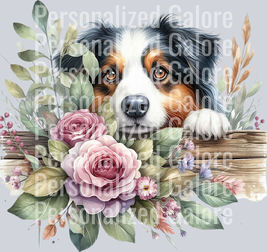 dog_487