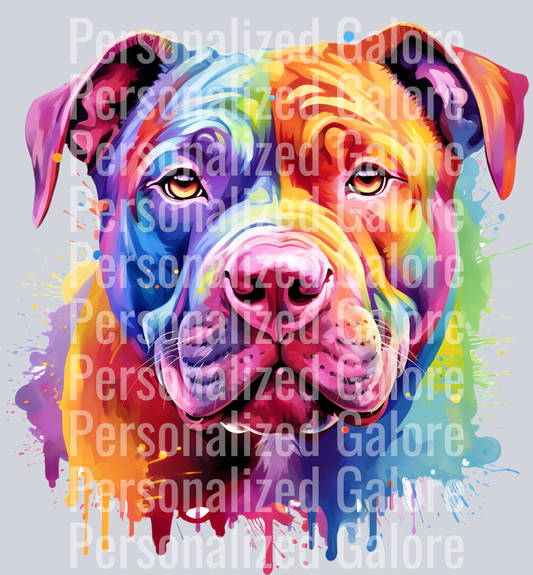 dog_579