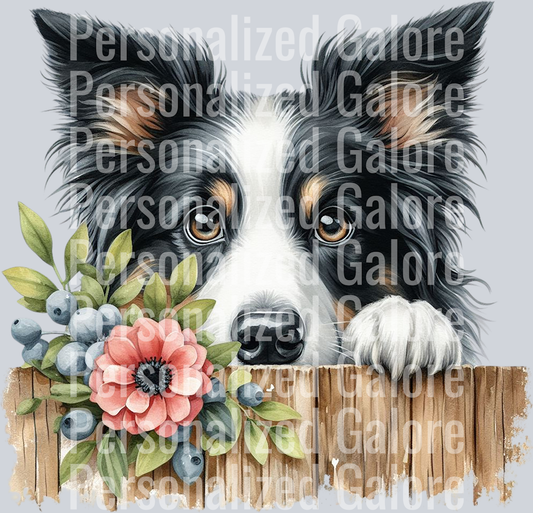 dog_456