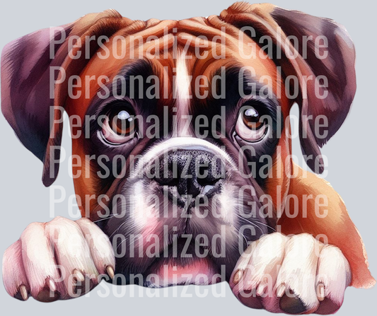 dog_445