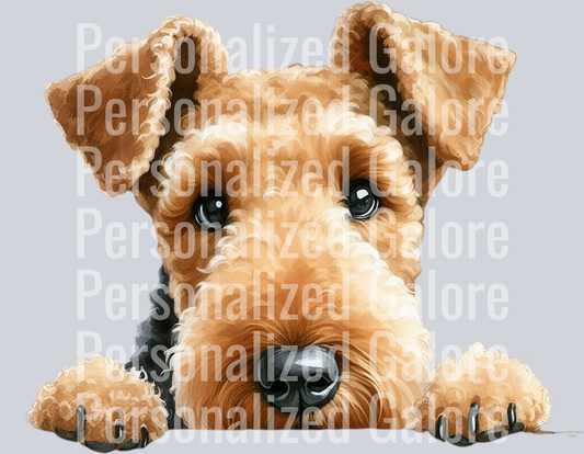 dog_502