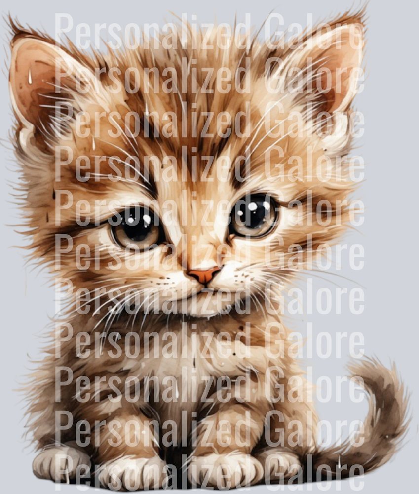Cat_162