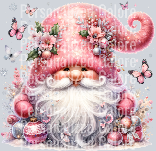 Gnome_027