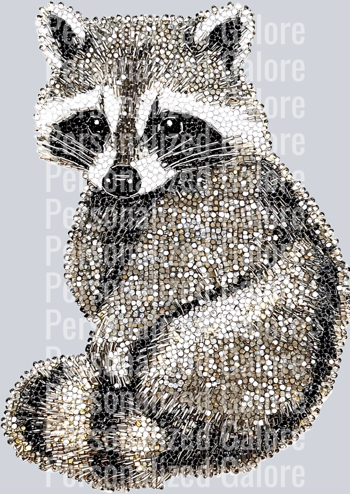 raccoon_015
