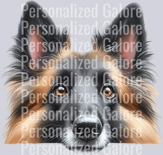 dog_468