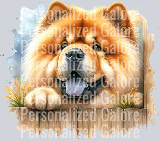 dog_407
