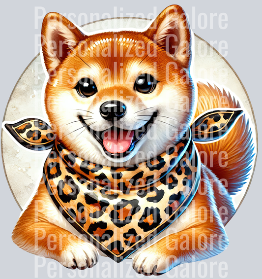 dog_113
