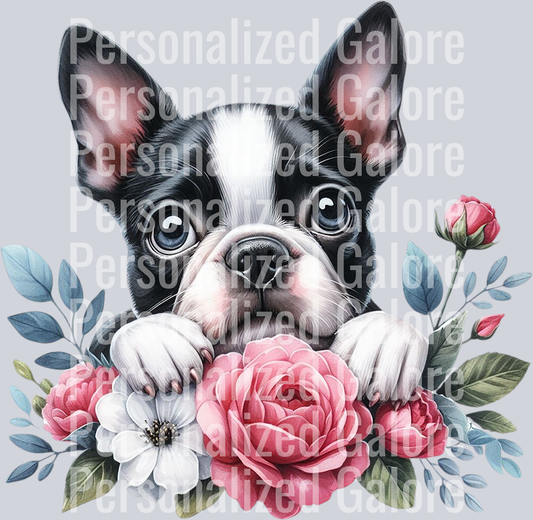 dog_451