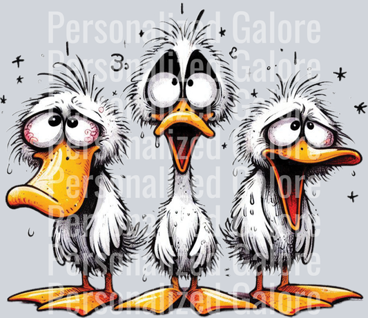 duck_089