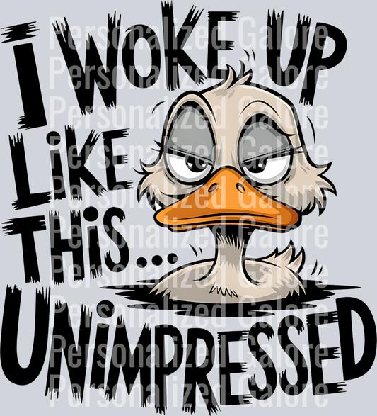 duck_224