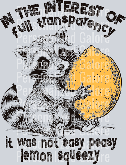 raccoon_014