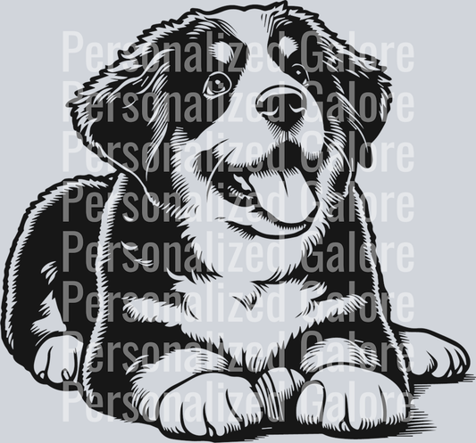 dog_249