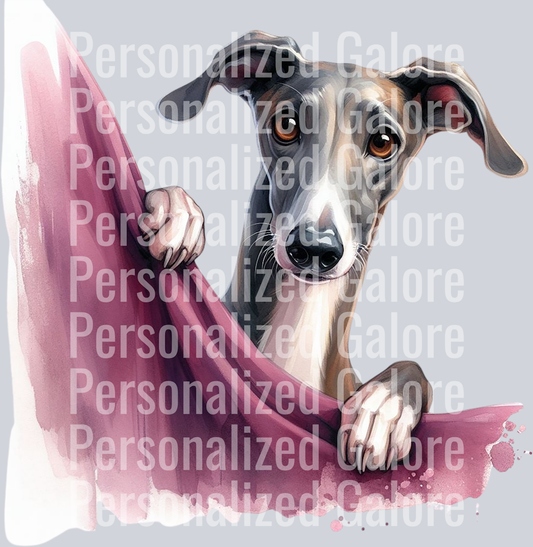 dog_312