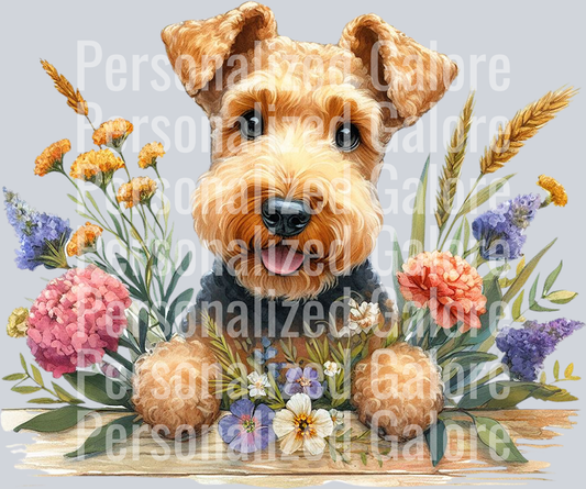 dog_526