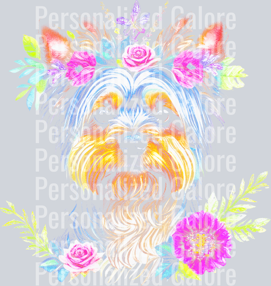 transparent_041