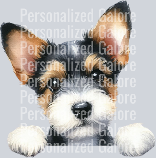 dog_564