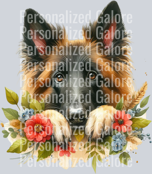 dog_469